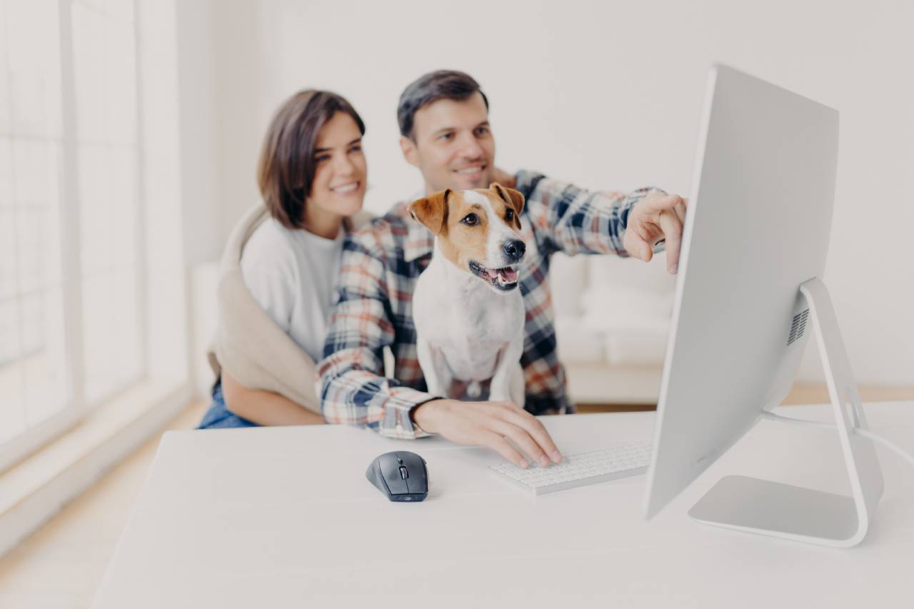 145043530_l (1) couple and dog looking at computer